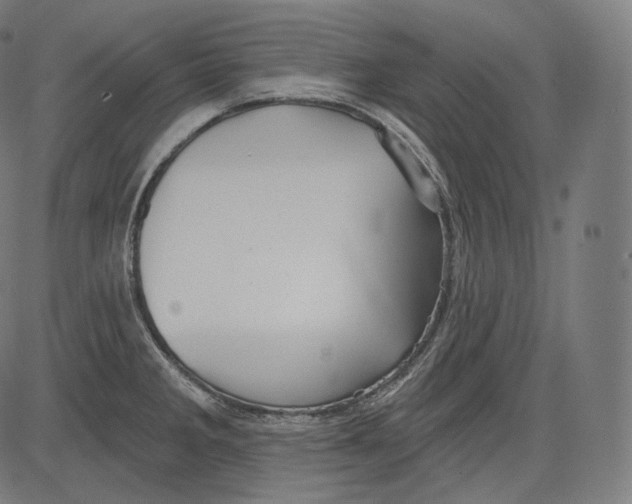 X0000083611285200703121553