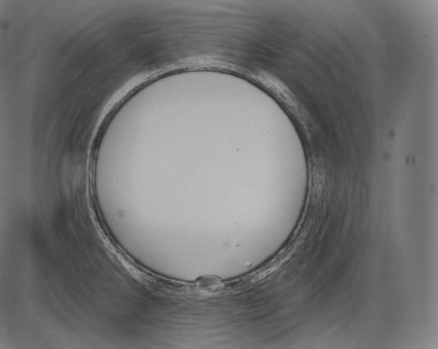 X0000083611286200703121553