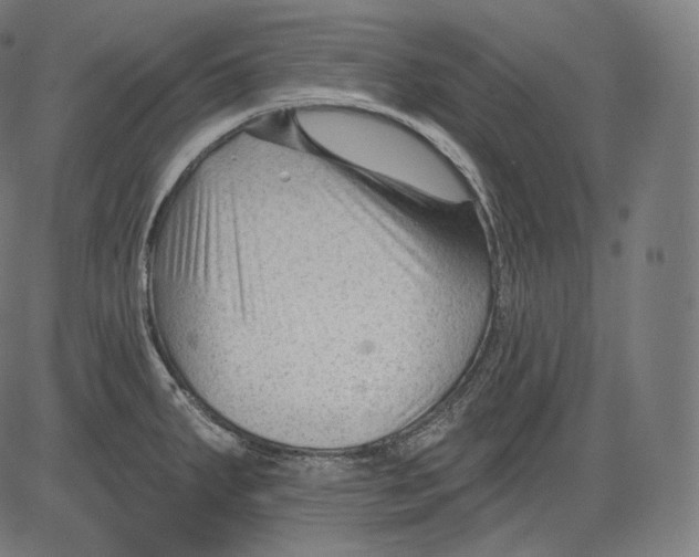 X0000083611287200703121553