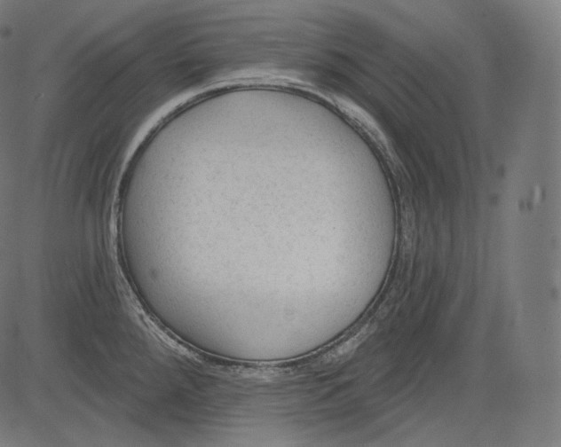 X0000083611288200703121553