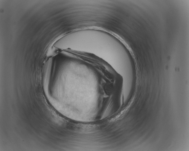 X0000083611289200703121553