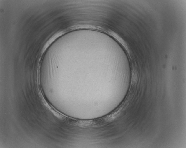 X0000083611290200703121553