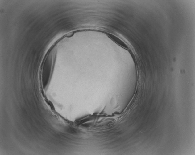 X0000083611291200703121553