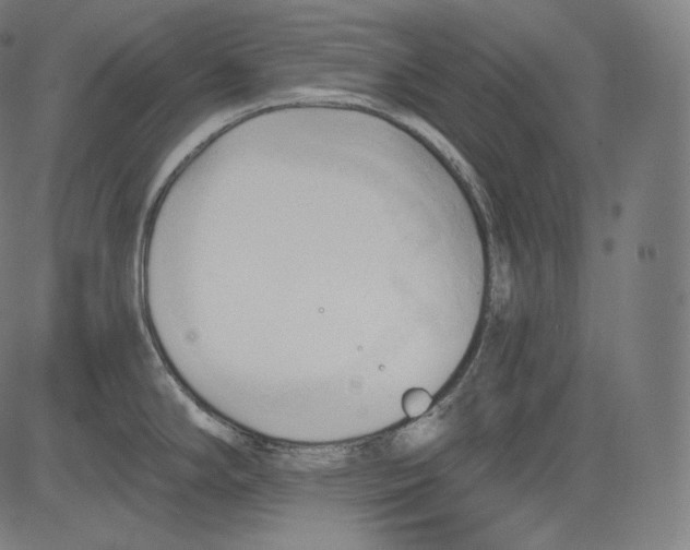 X0000083611294200703121553