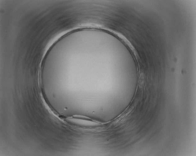 X0000083611295200703121553