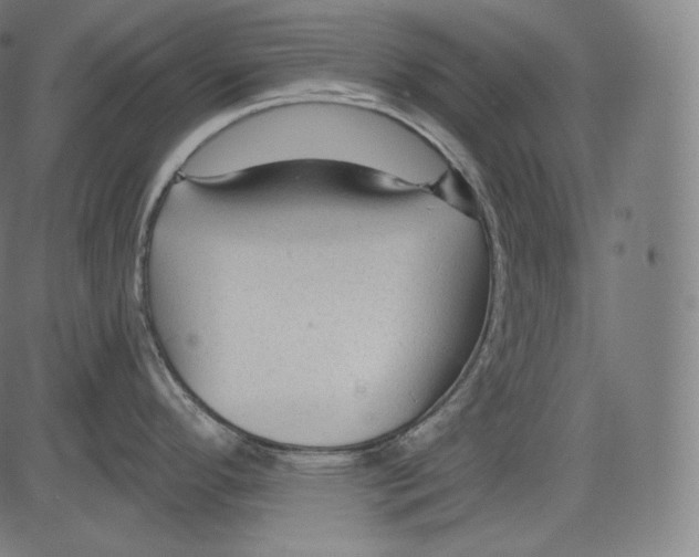 X0000083611296200703121553