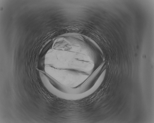 X0000083611297200703121552