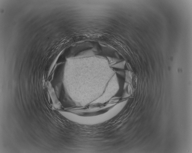 X0000083611298200703121552