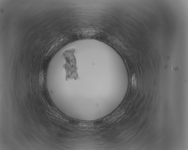 X0000083611299200703121552