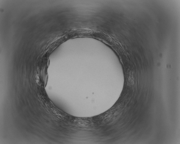 X0000083611301200703121552