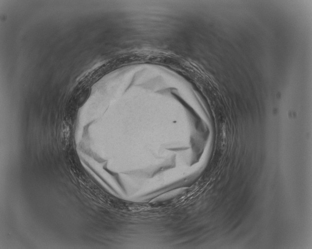 X0000083611302200703121552