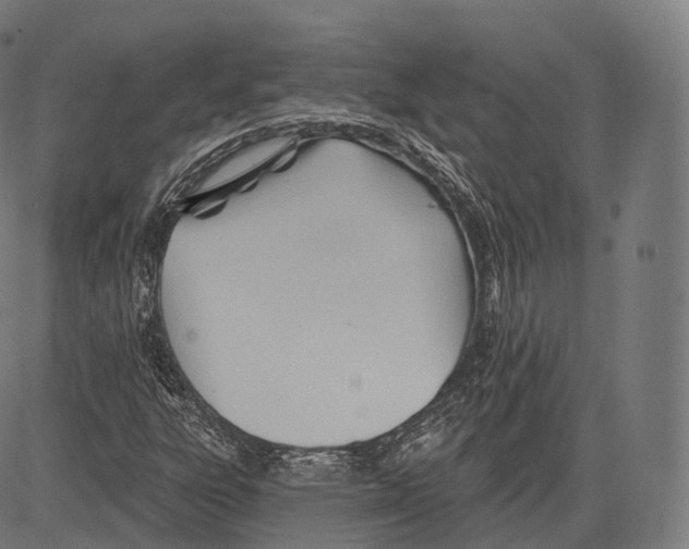 X0000083611303200703121552