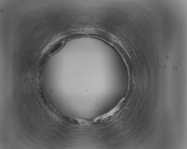 X0000083611304200703121552