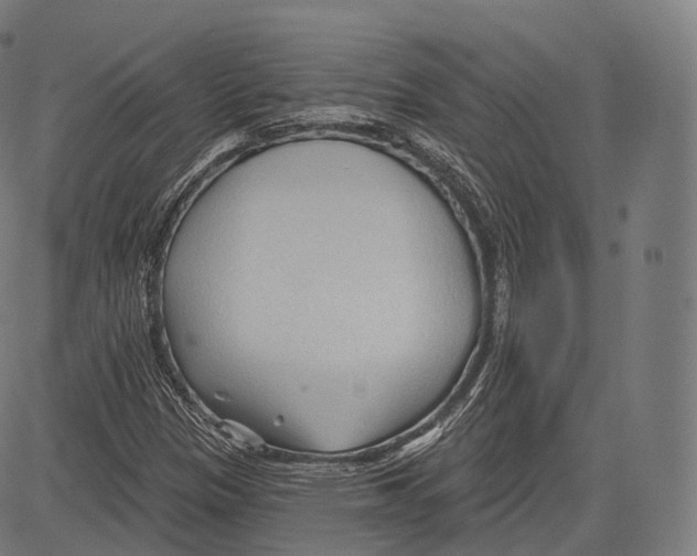 X0000083611305200703121552