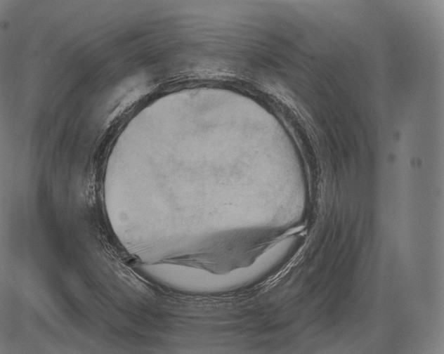 X0000083611306200703121552