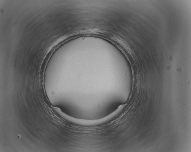 X0000083611308200703121552