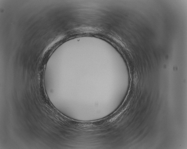 X0000083611309200703121552