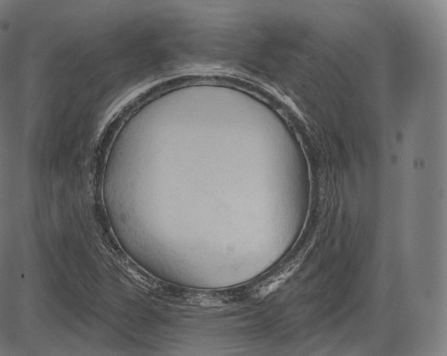 X0000083611311200703121552