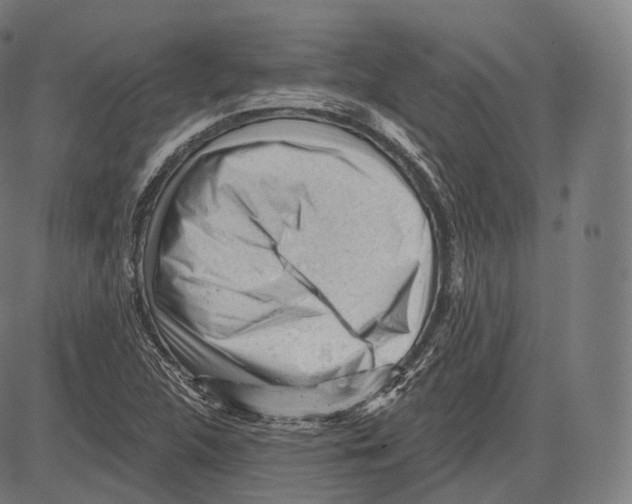 X0000083611312200703121552