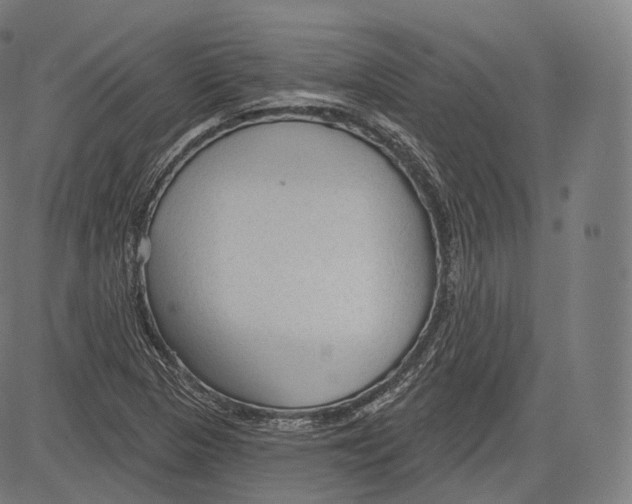 X0000083611313200703121552