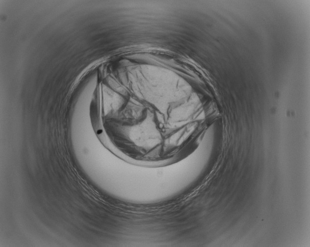 X0000083611314200703121552