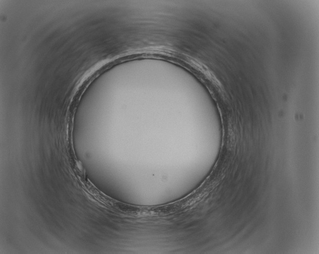 X0000083611316200703121552