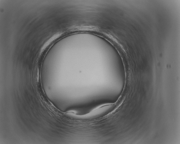 X0000083611317200703121552