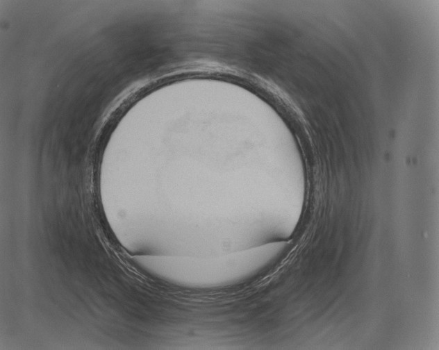 X0000083611318200703121552