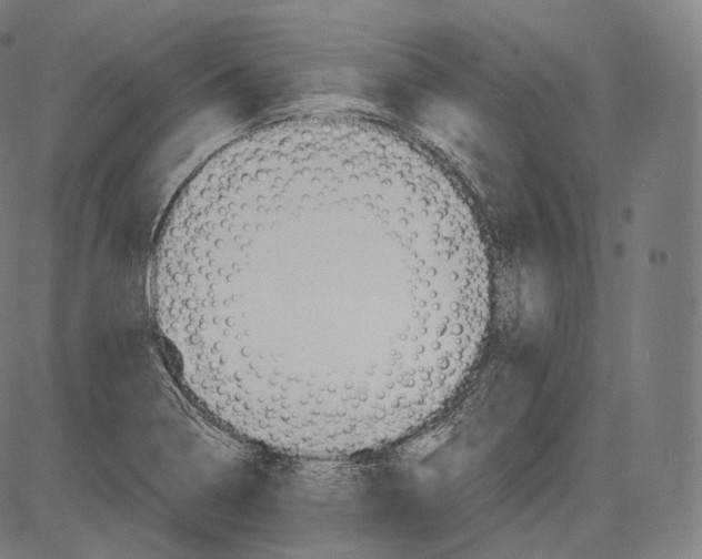 X0000083611322200703121552