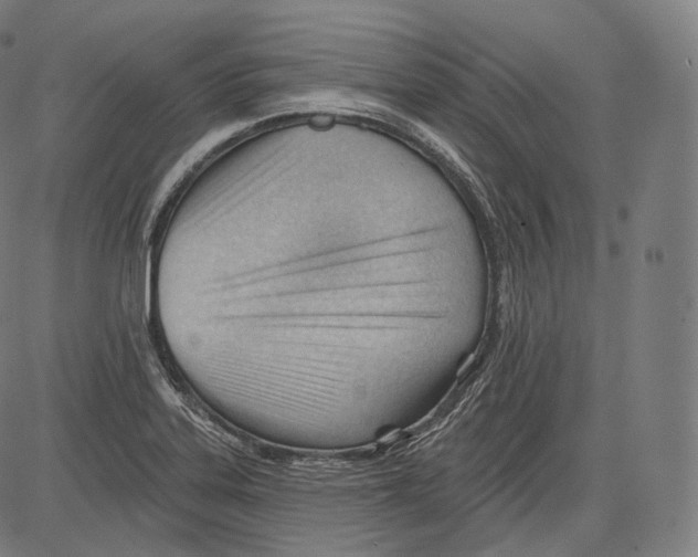 X0000083611323200703121552