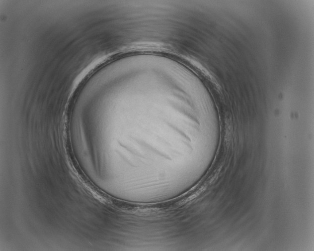 X0000083611325200703121552