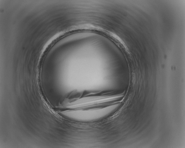 X0000083611326200703121552