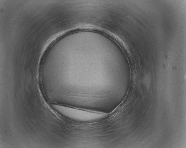 X0000083611327200703121552