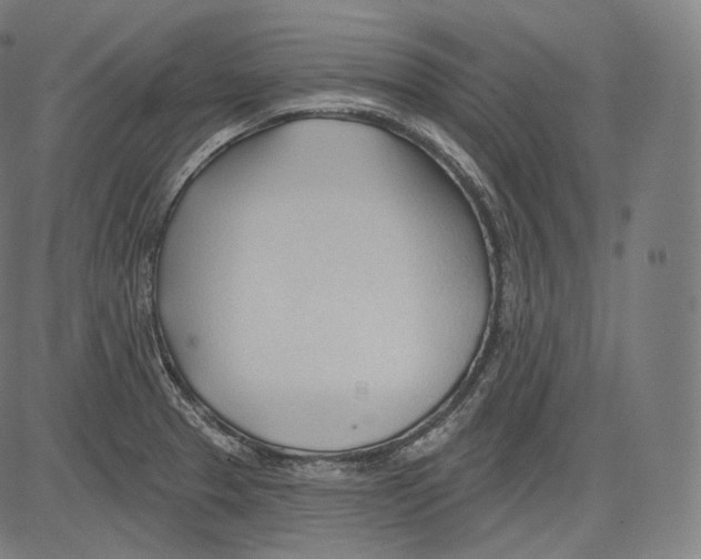 X0000083611329200703121552