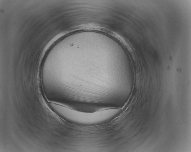 X0000083611331200703121552