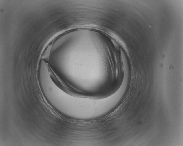 X0000083611332200703121552