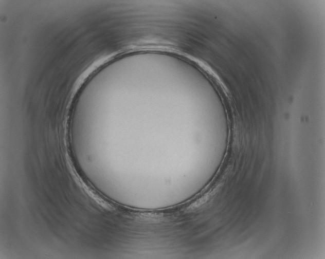 X0000083611333200703121553