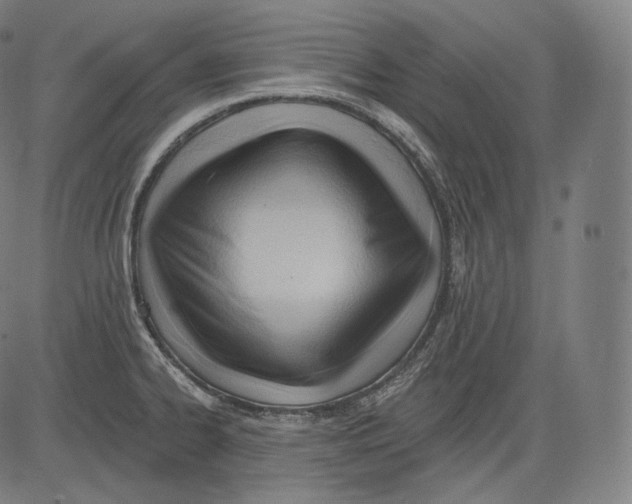 X0000083611334200703121553