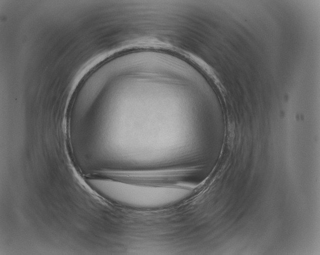 X0000083611335200703121553