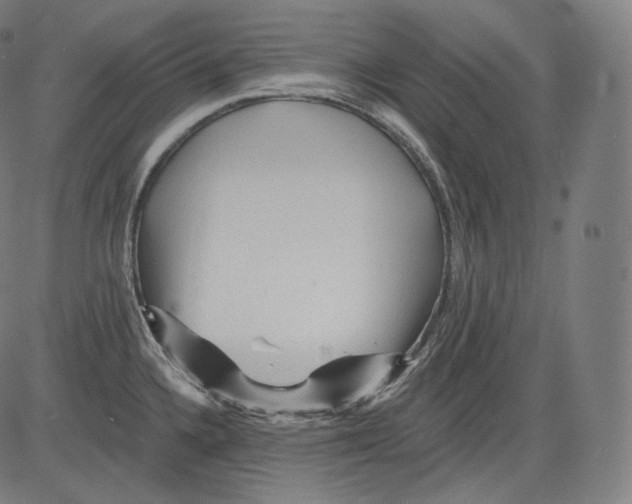 X0000083611336200703121553