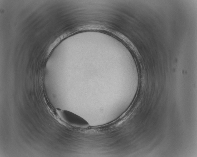 X0000083611337200703121553