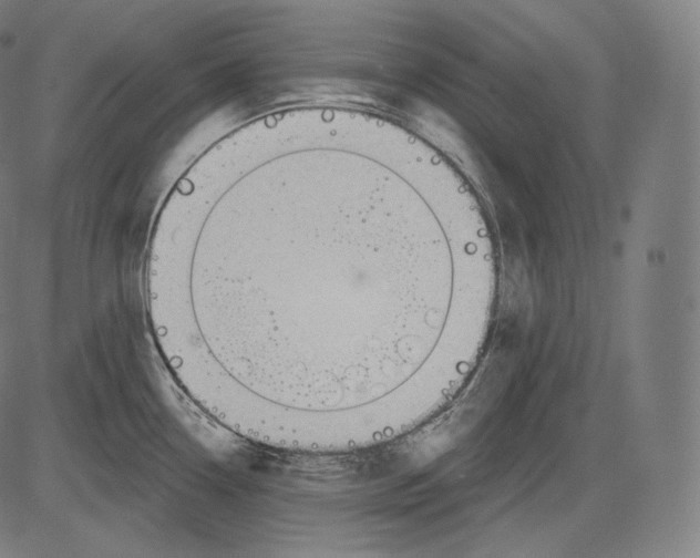 X0000083611338200703121553