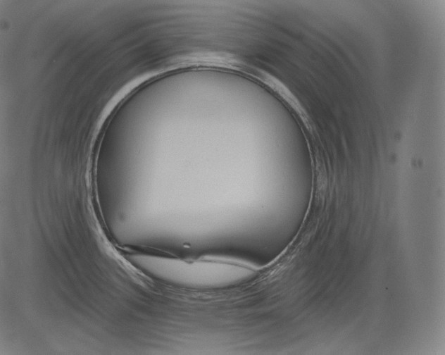 X0000083611339200703121553