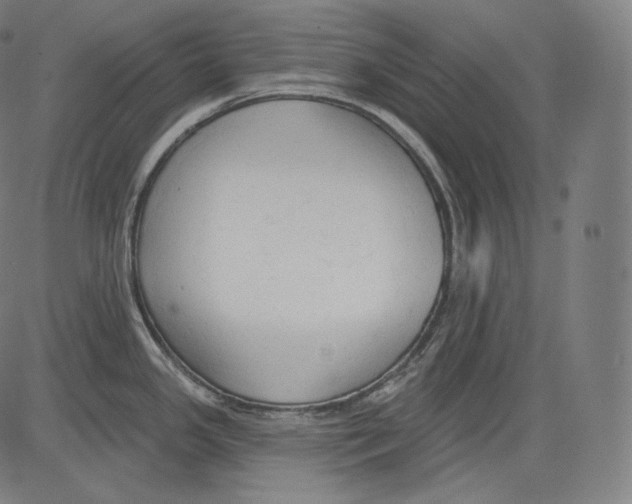 X0000083611341200703121553