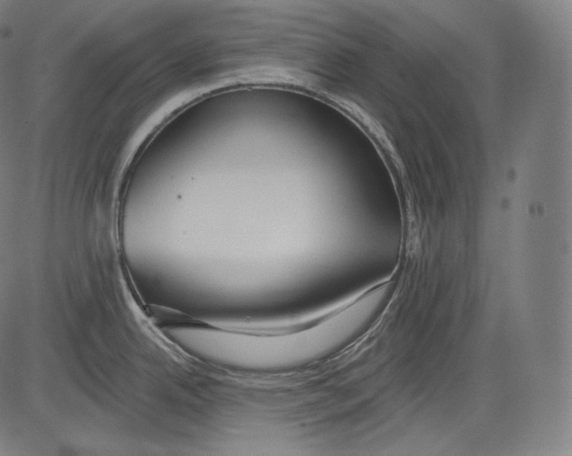 X0000083611342200703121553