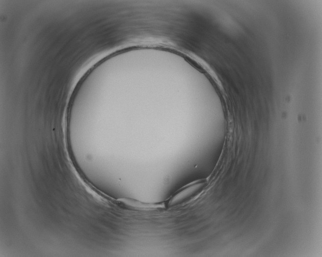 X0000083611343200703121553