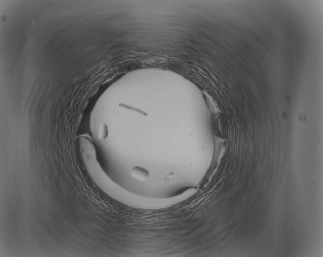 X0000083611345200703121552