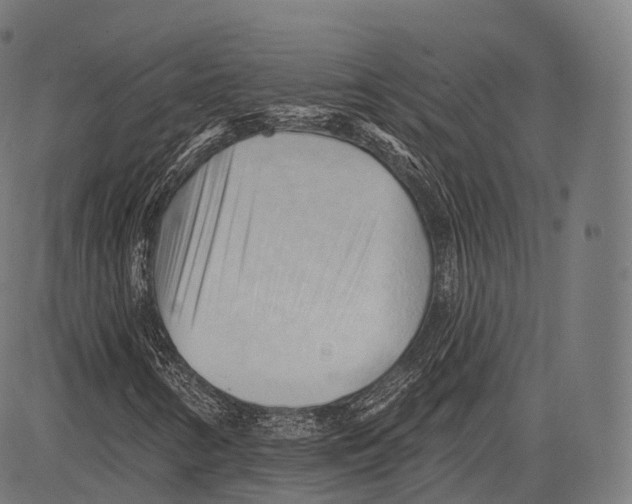 X0000083611346200703121552