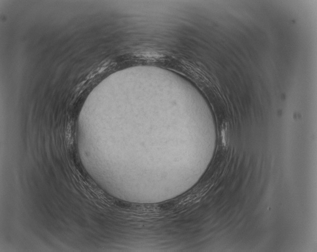 X0000083611347200703121552