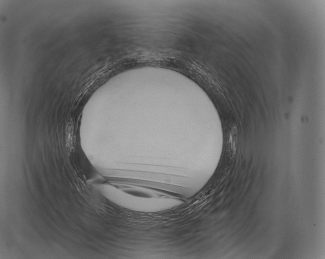 X0000083611348200703121552